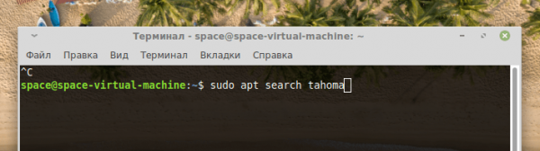 Устанавливаем шрифты в Linux